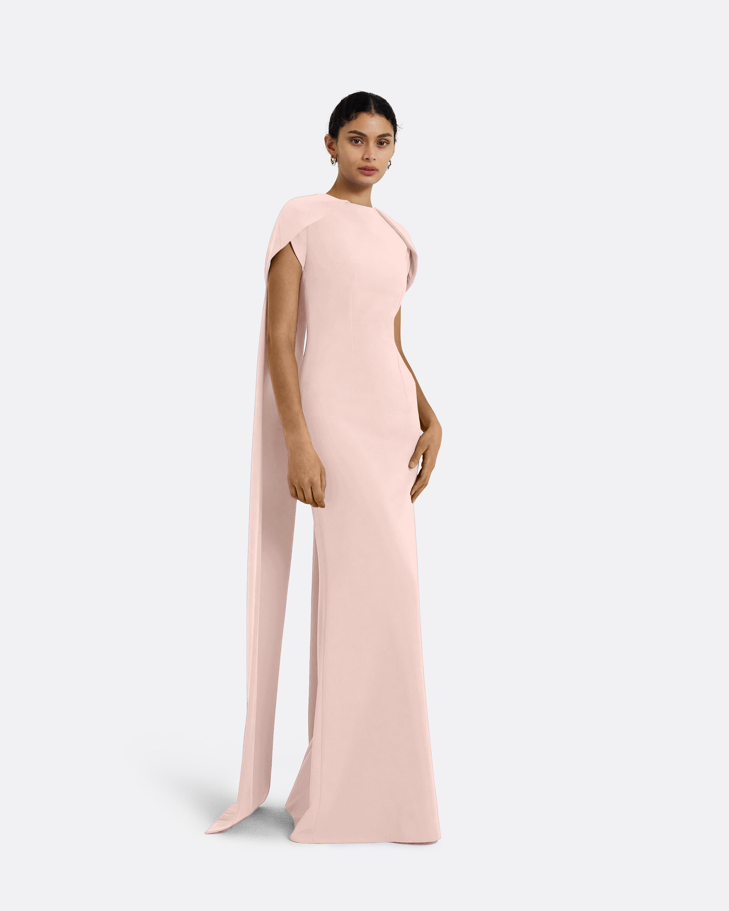 Ginkgo Long Dress in Pale Pink