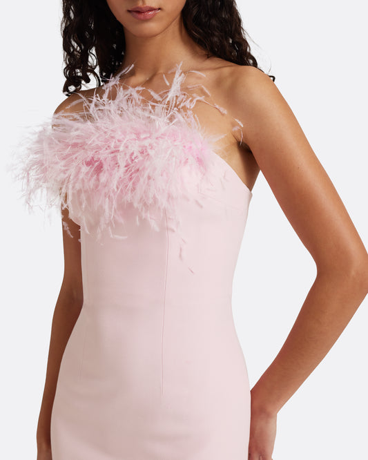 Soshin Long Dress in Lychee with Feathers