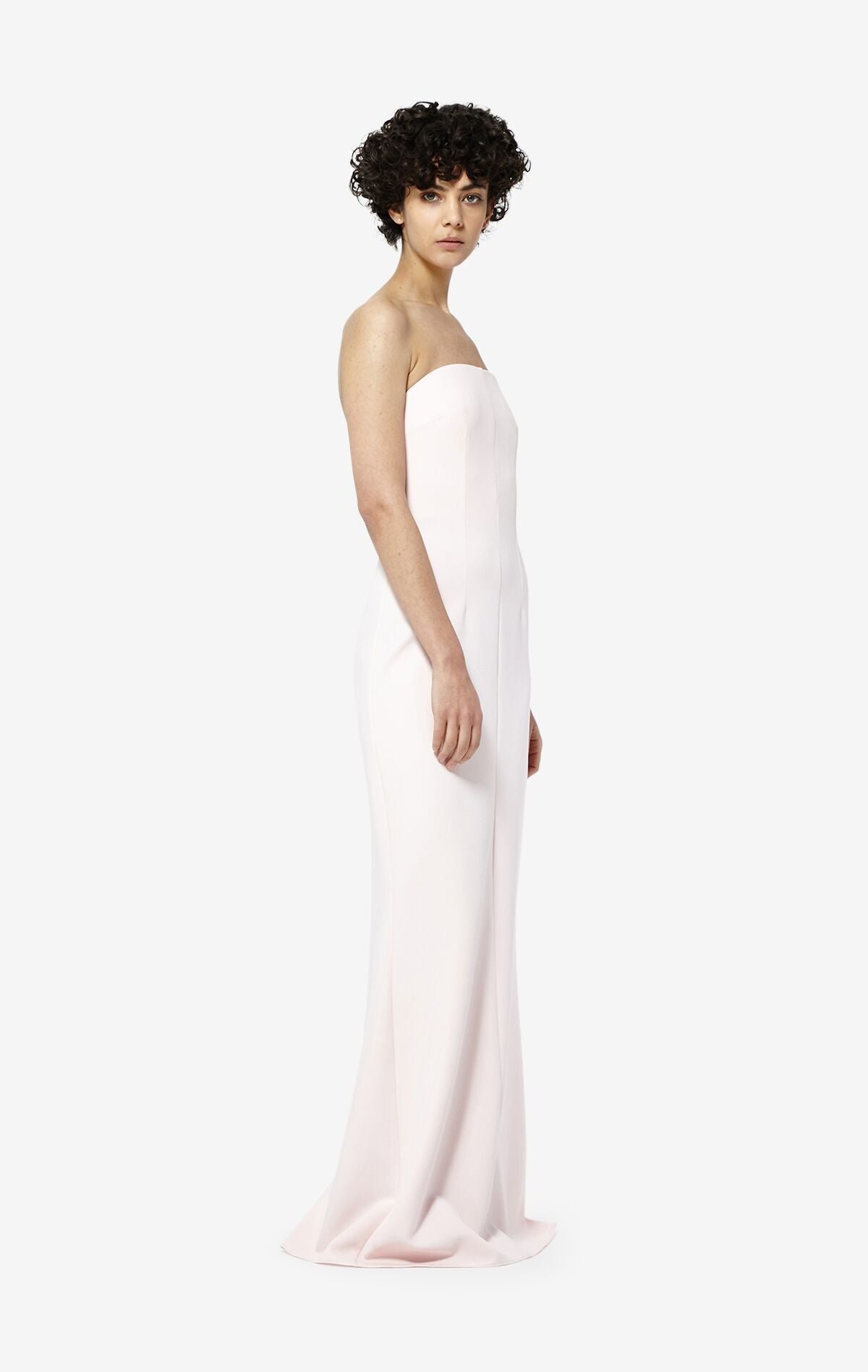 Soshin Strapless Dress